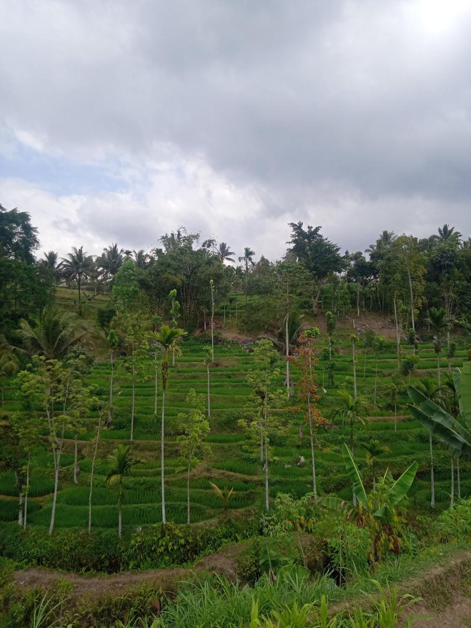 Tetebatu Sunrise Homestay Exterior photo